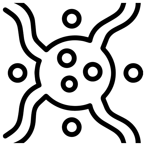 Follicular Lymphoma